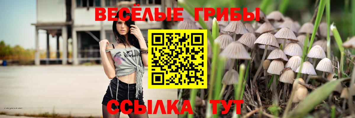 Узловая  где купить наркоту  Вход с VPN  Галлюциногенные грибы ЛСД  Псилоцибиновые грибы Cubensis 